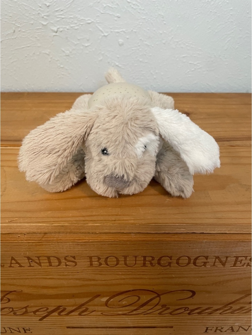 Kids Plush Puppy Nightlight